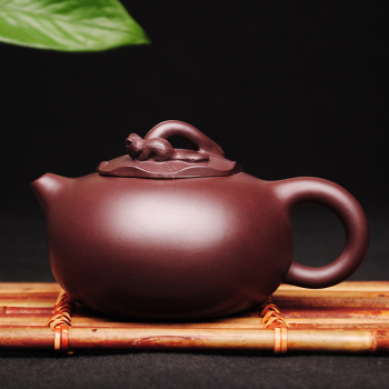 掌中灵趣，自然天工——鉴陈彩敏全手工松鼠葡萄壶